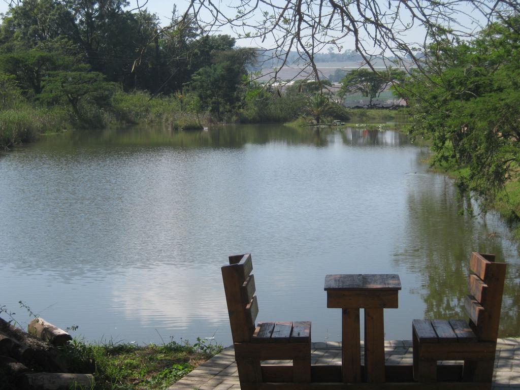 Noma-Nini Lodge White River Zewnętrze zdjęcie